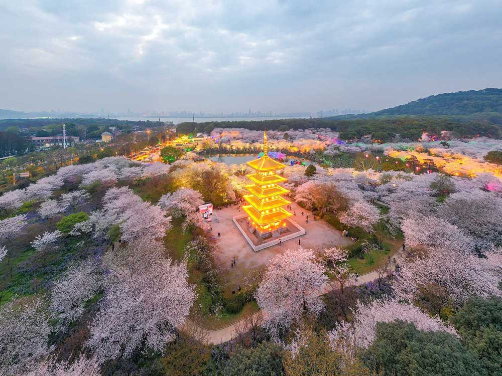 武漢市全民健康信息市區(qū)一體化平臺(tái)項(xiàng)目